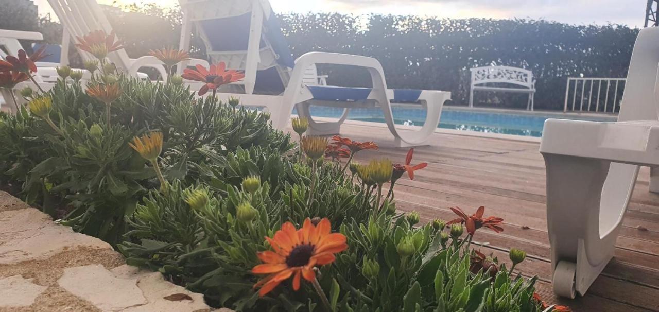 Hotel Larverde Sertã Εξωτερικό φωτογραφία
